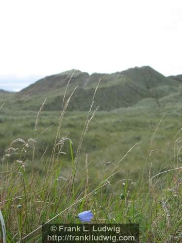 Culleenamore, County Sligo